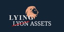 LYING ASSETS